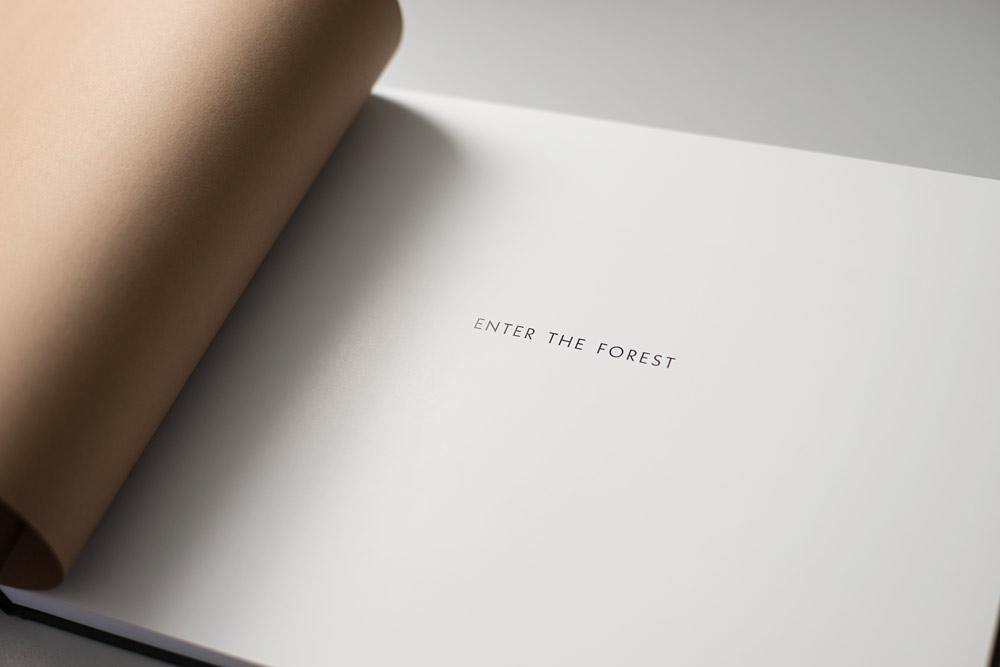 Enter the Forest   Photo Book, Photographed by Alexandre Miguel Maia