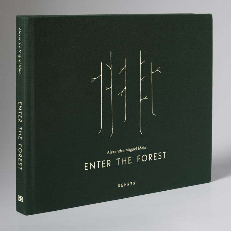 Enter the Forest   Wald Fotobuch, Photographed by Alexandre Miguel Maia