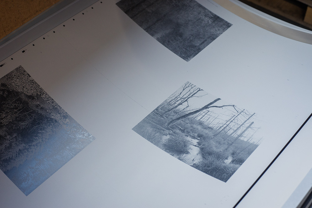 Offset Printing of the Book, Photographed by Alexandre Miguel Maia