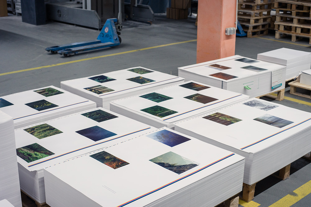 Offset Printing of the Book, Photographed by Alexandre Miguel Maia