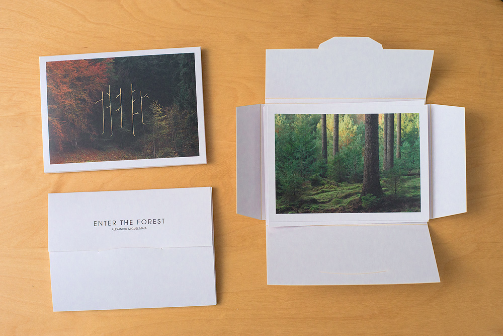 "Enter the Forest" Postcardset collectors box