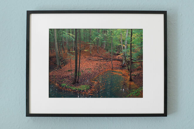 Forest photo print preview with a recommended framing