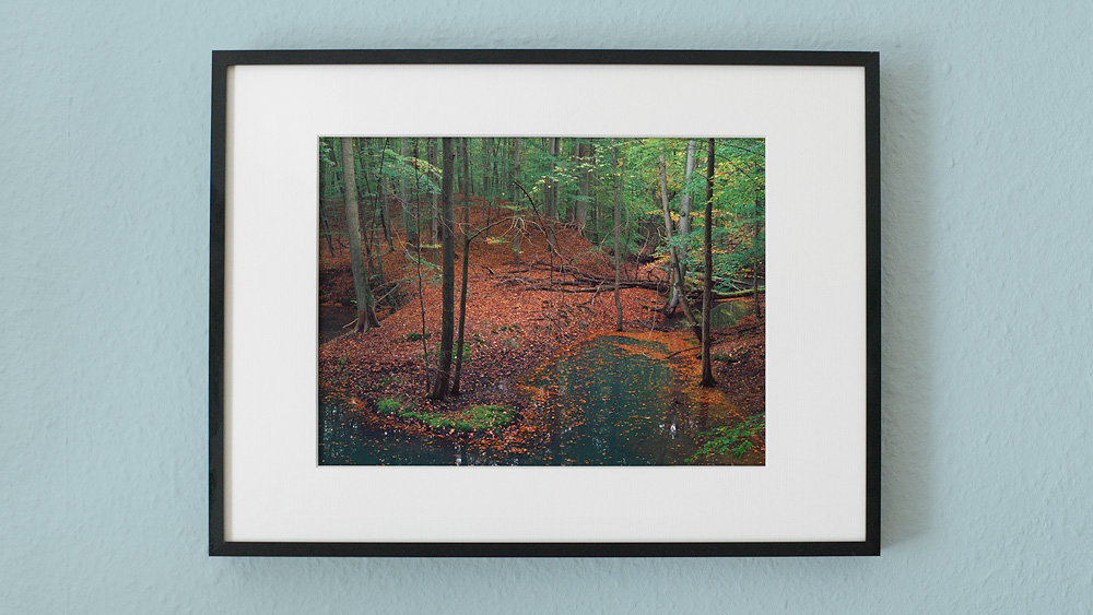 Forest photo print preview with a recommended framing